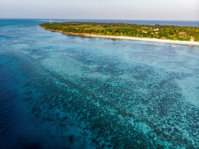 BlueWild EcoVentures