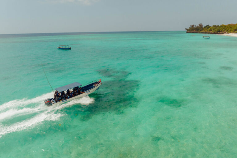 Blue Alliance Marine Protected Areas; Blue Commitment; Saving the Ocean
