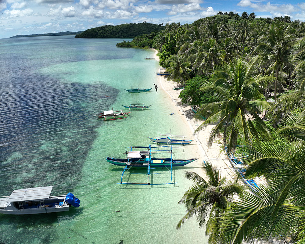 Blue Alliance Marine Protected Areas; Blue Commitment; Saving the Ocean