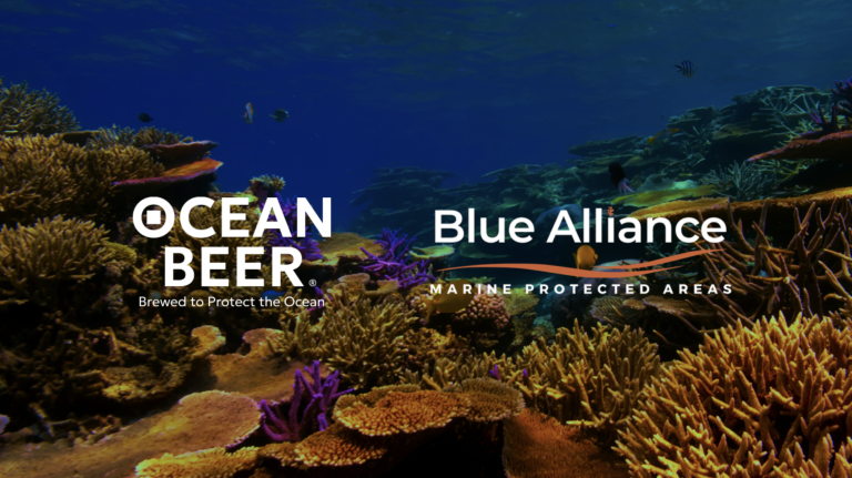 Screenshot 2026-04-20 at 09.44