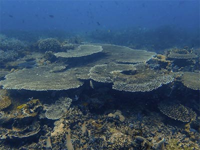 El-Nido-MPAs
