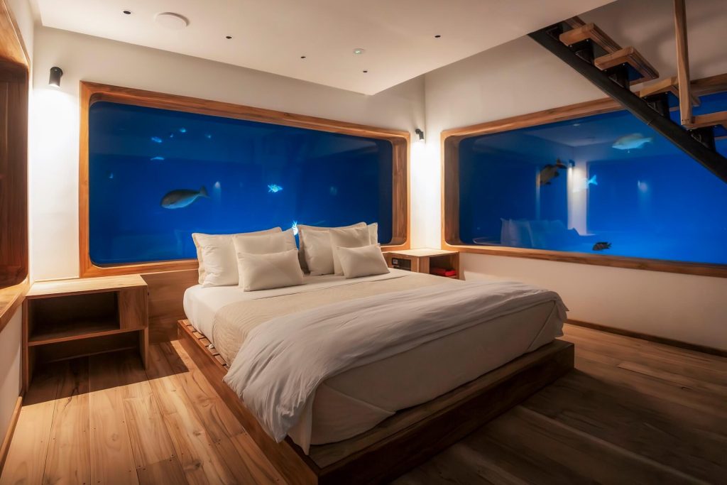 Manta Underwater Room, Coral Reef Safari