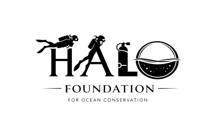 Halo Foundation