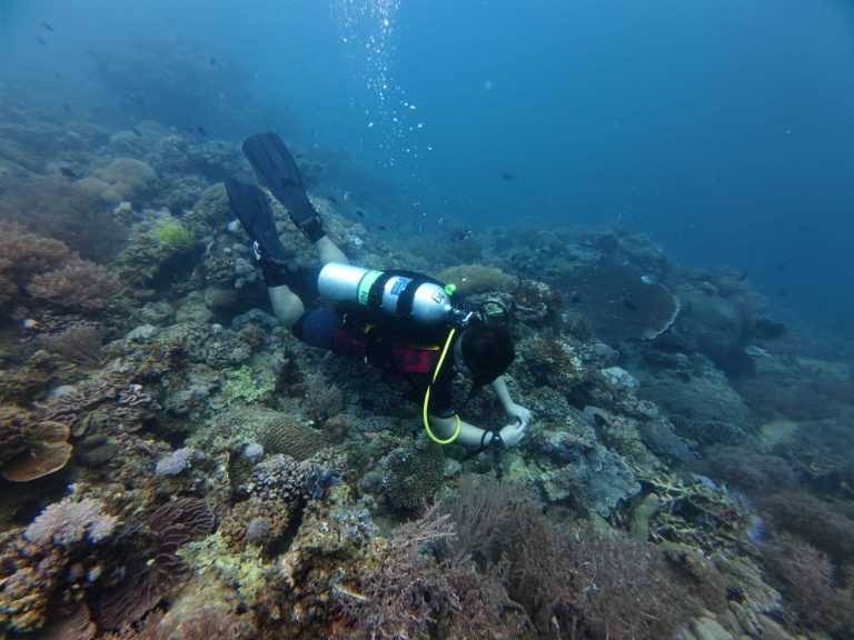 bd68567a-8c15-47ad-a196-09d917bff378